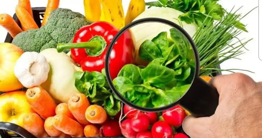 What is the Food Safety Information System (GGBS)?