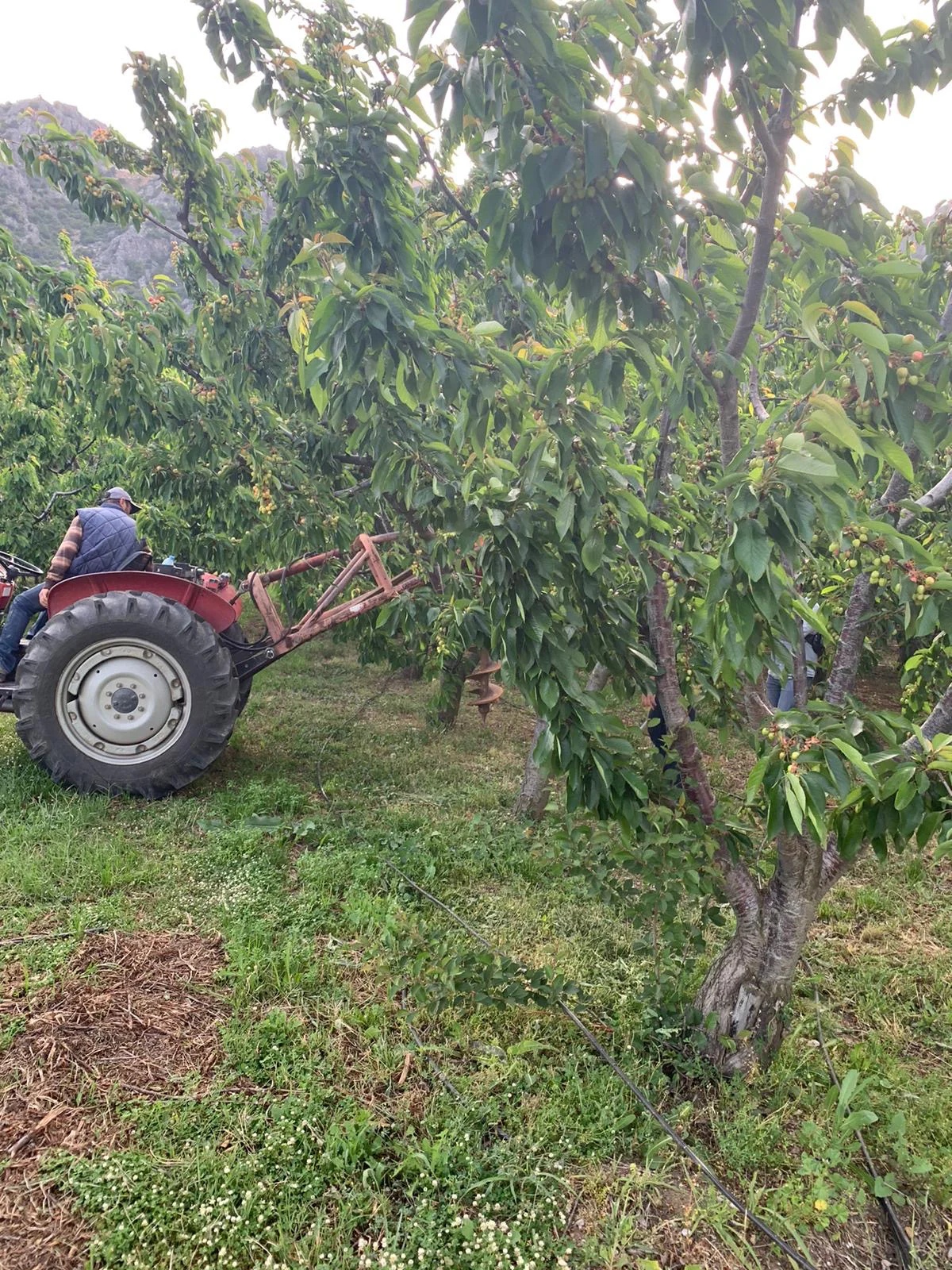 Fruit Growing Research Institute Smart Irrigation Systems