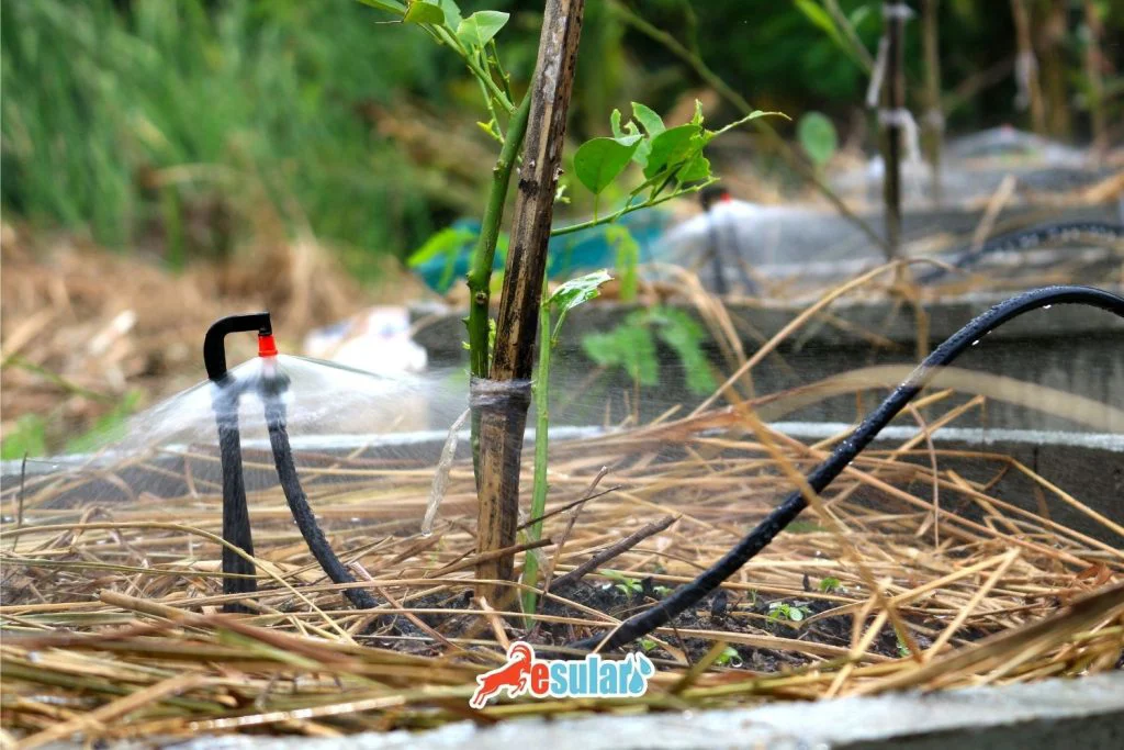 under-tree-micro-sprinkler