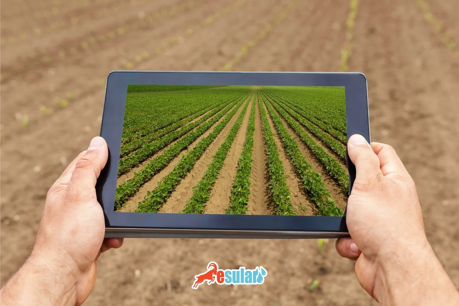 Tendencias Agrícolas Globales