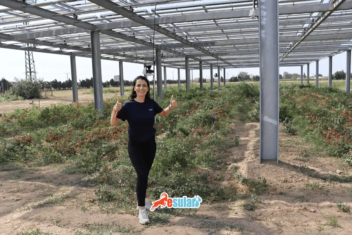 Dijital Tarım Çağında Akıllı Sulamanın Rolü | Esular Tarım Teknolojileri