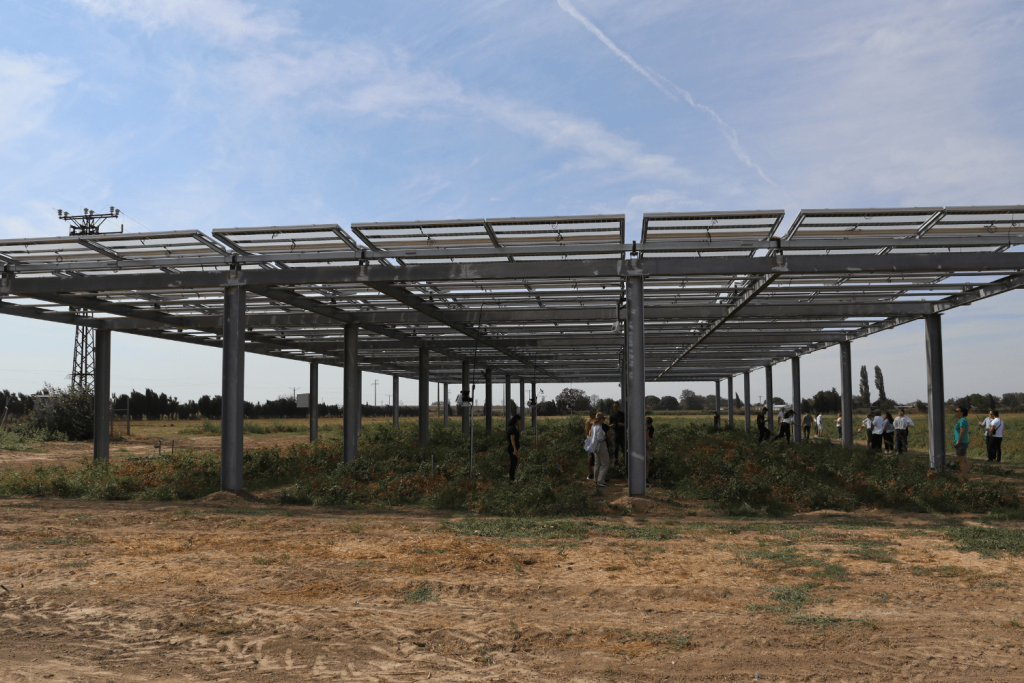 benefits of agripv esular