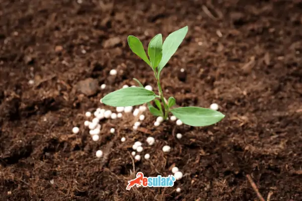 amonyum-nitrat-gubresi