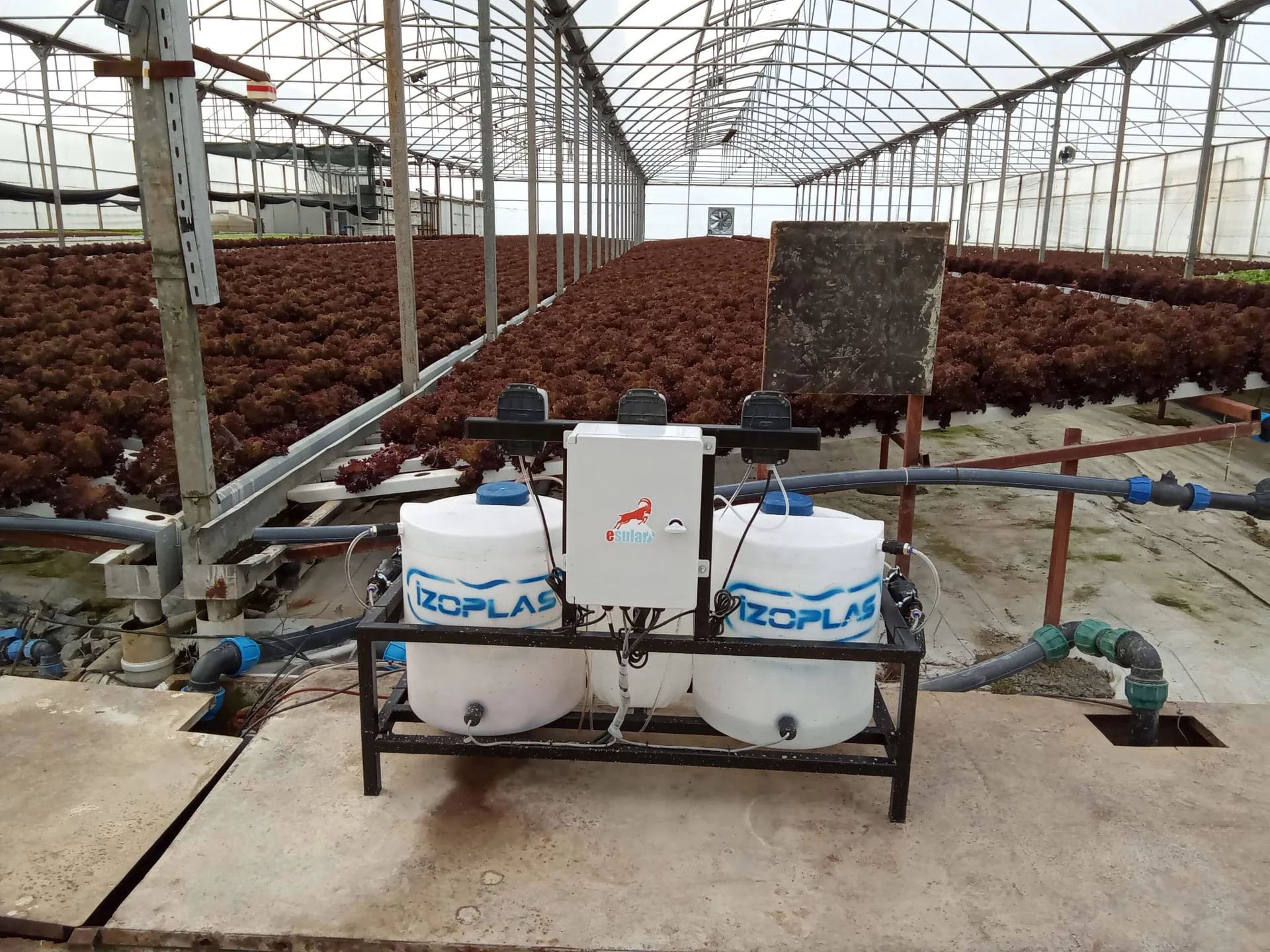 Greenhouse irrigation