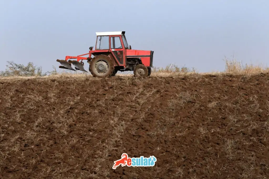 aycicegi-ekim-nobeti