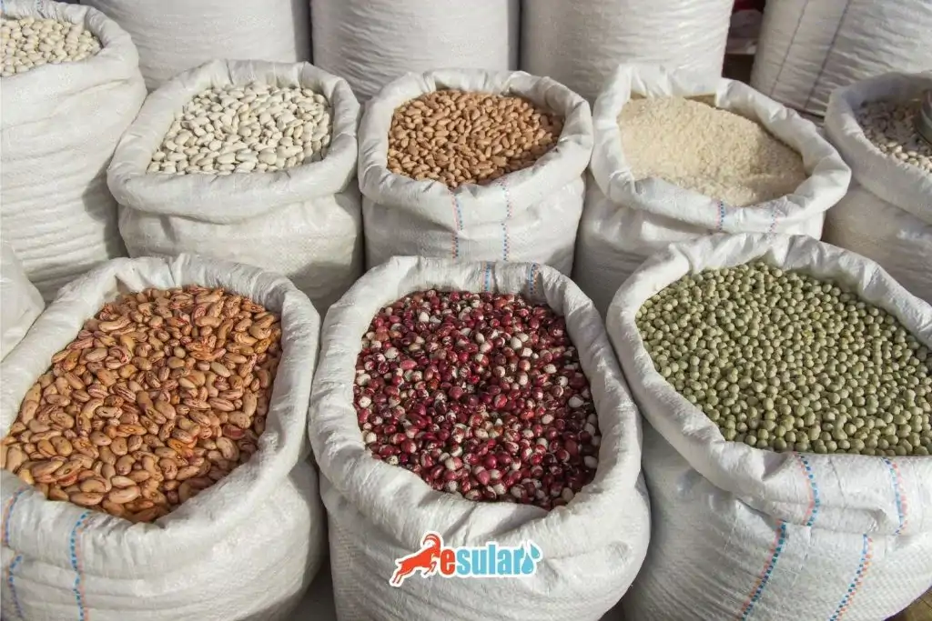 baklagil-tohum-bocegi-ile-mucadele