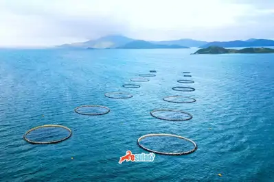 Balık Çiftliklerinde Su Kalitesi Yönetimi: Oksijen, pH, NH₃, CO₂ ve Sıcaklığın Önemi