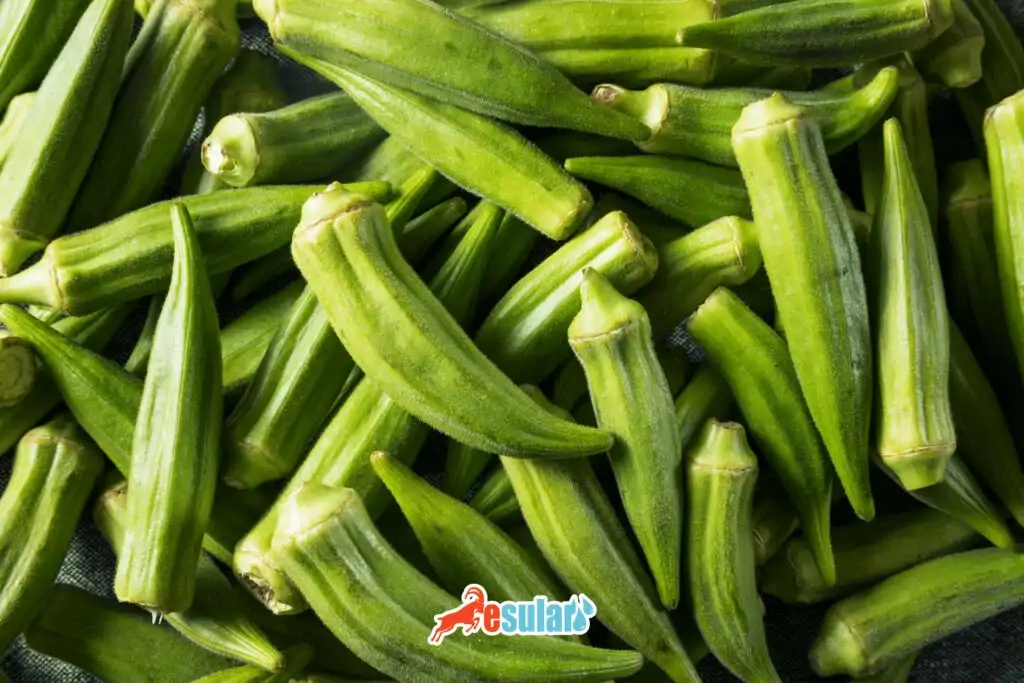 bamya-hasadi-ne-zamandir