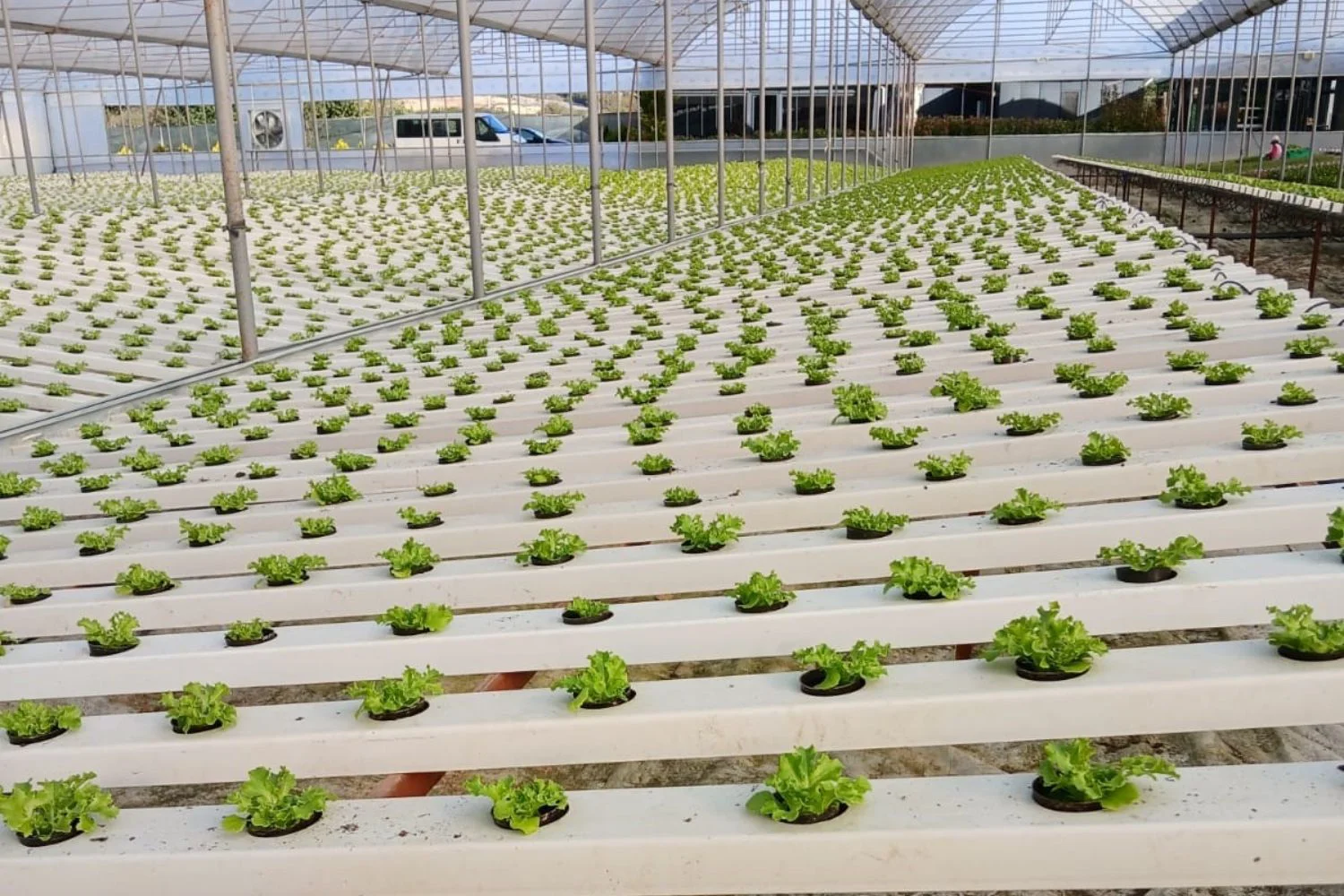 Vinil İstixanalarda Həddindən Artıq Temperatur və Rütubət Problemləri Üçün Püskürtmə Sisteminin Optimizasiyası