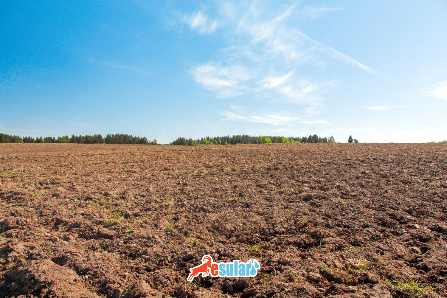 ما هو التبوير؟