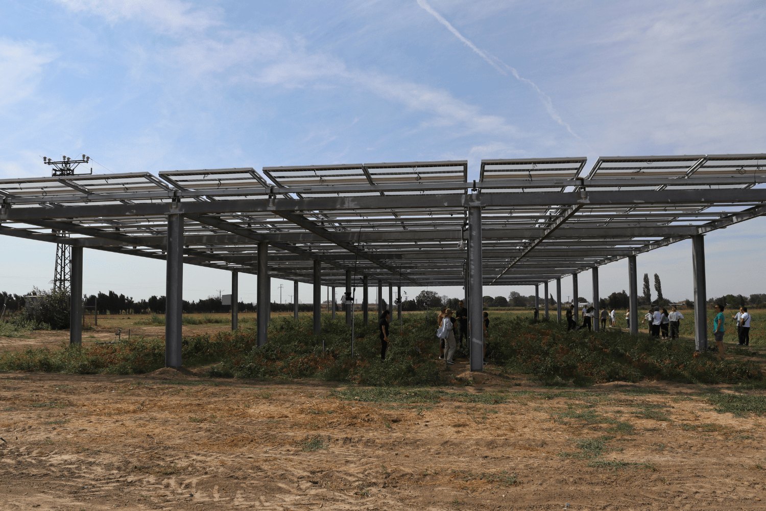 Regenerative Agriculture and Digital Transformation: Increase Profitability While Restoring Soil with Smart Management