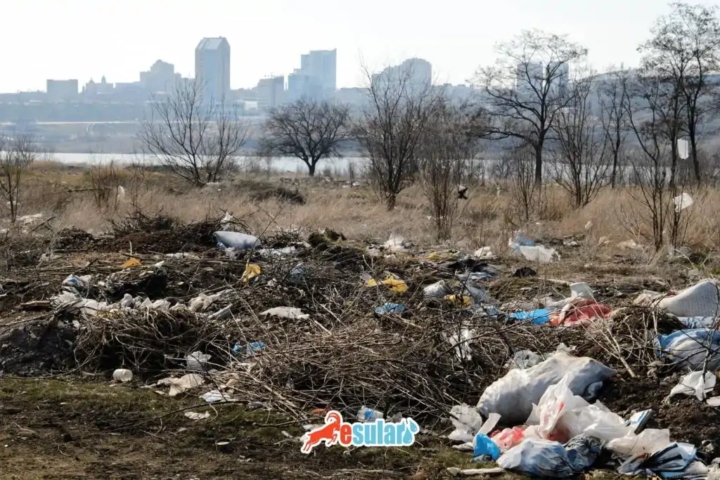 cevre-kirliligi-nedir