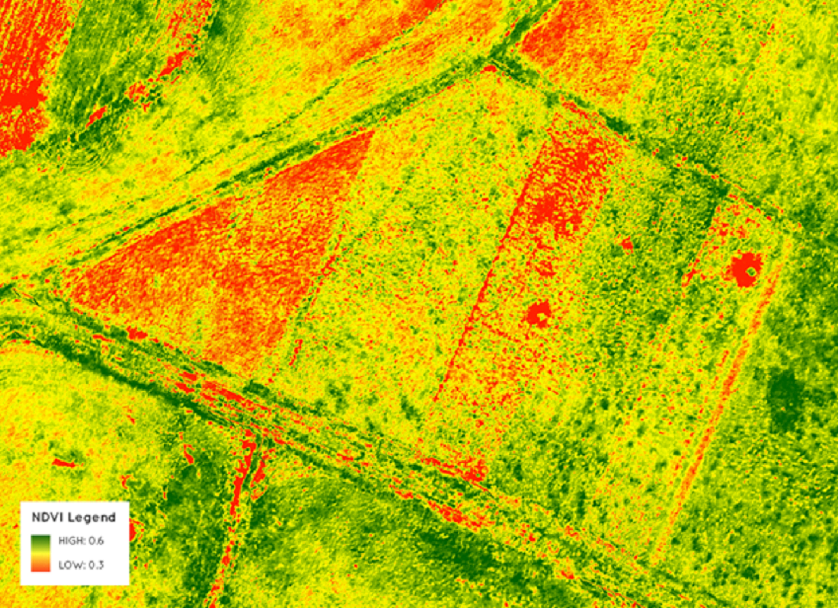 Что такое NDVI (Нормализованный относительный вегетационный индекс)?