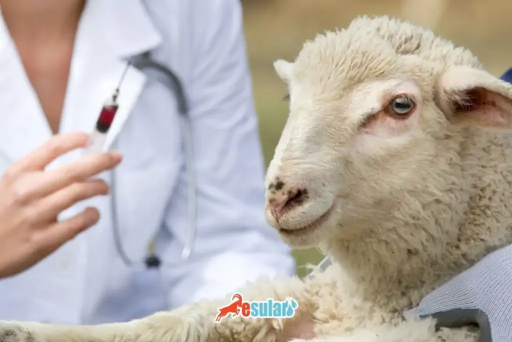 cicek-hastaligi-tedavisi