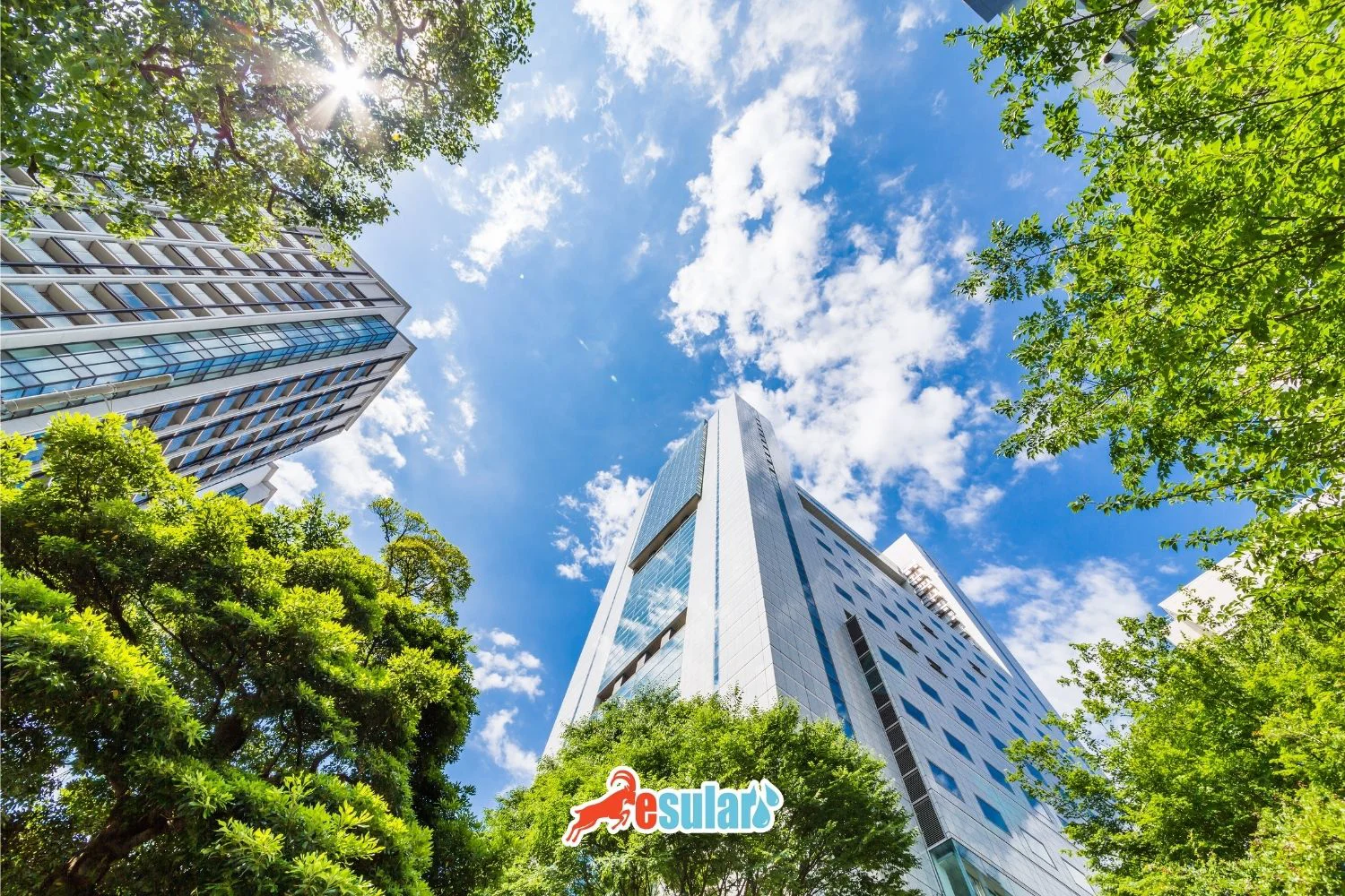 Sünger Şehir Nedir?