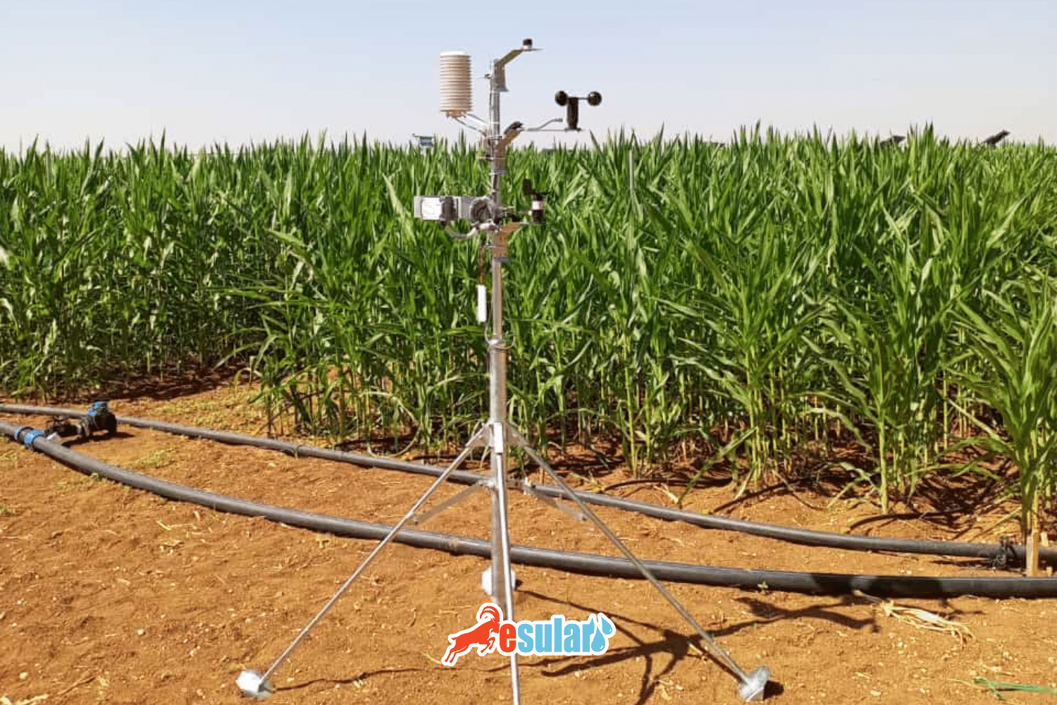 Climate – Meteorological Station