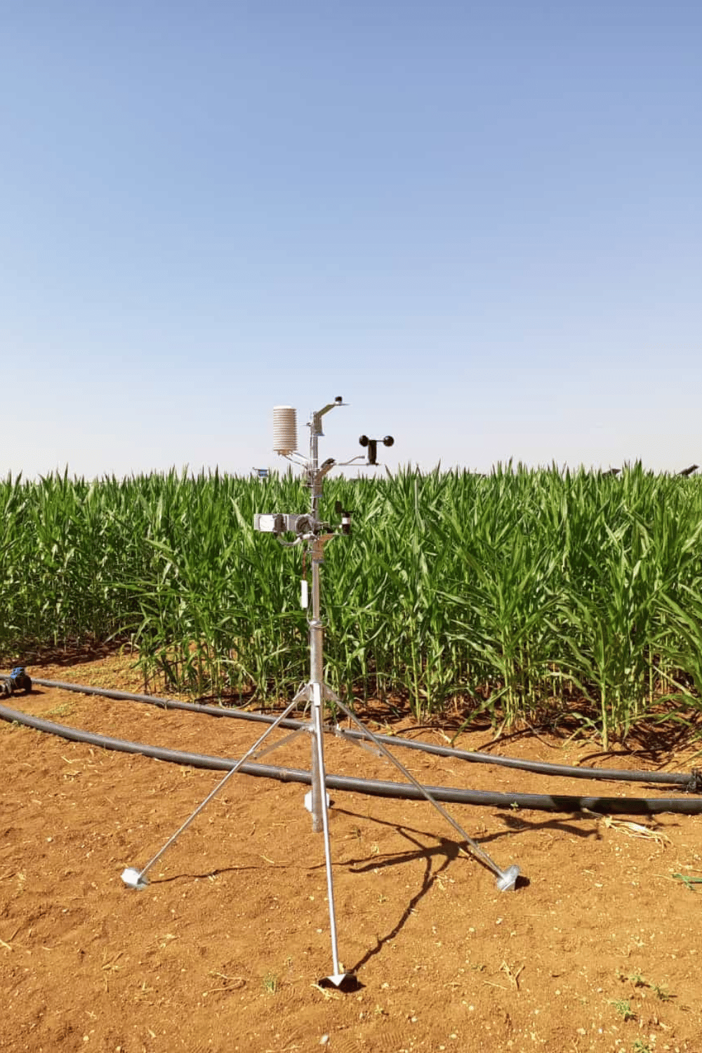 Climate-Meteorological Station