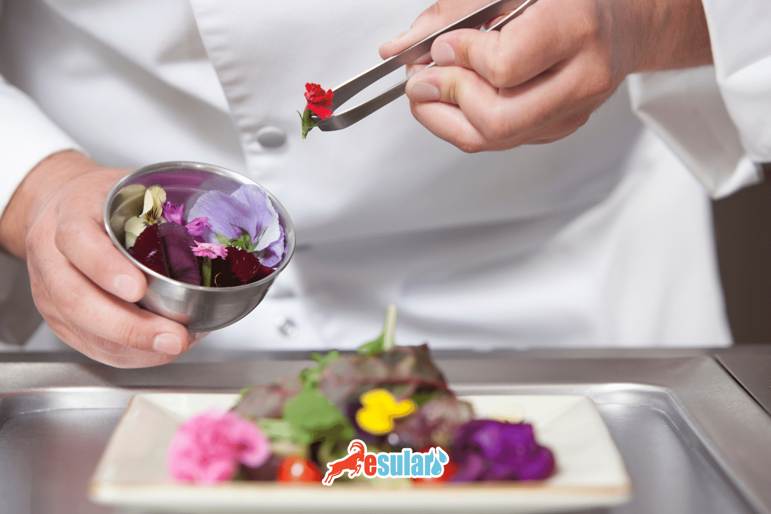 ¿Qué es una flor comestible?