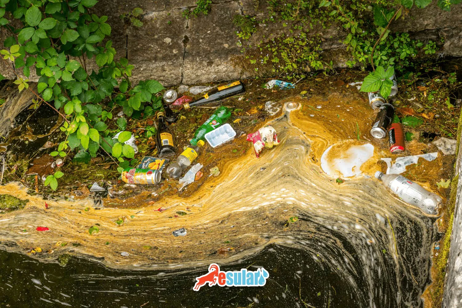 ¿Qué es la contaminación ambiental?