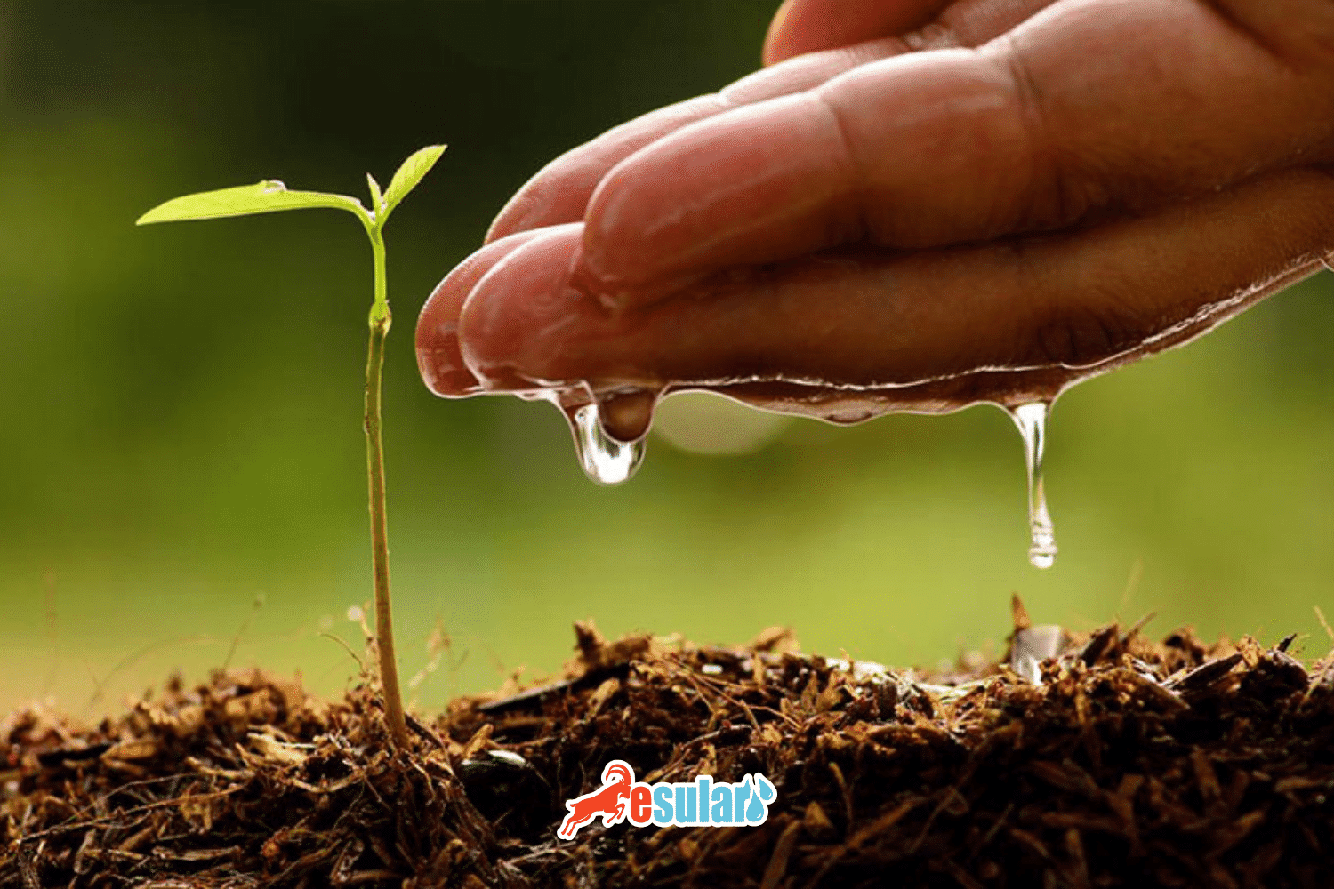 What is Copper Fertilizer?