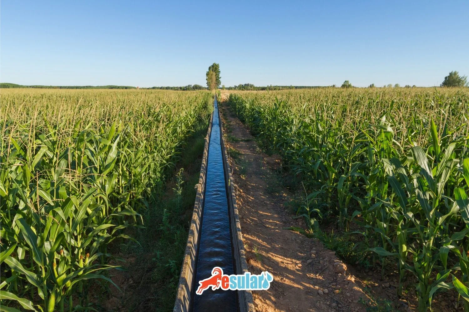 The Importance of Irrigation Scheduling