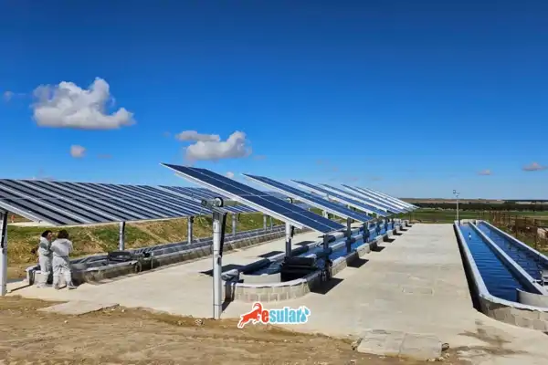 Çözünmüş Oksijen Ve Alg Patlamaları: Akıllı Tarımda Su Kalitesi Yönetimi