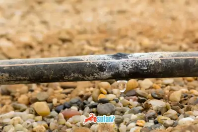 Reverse Osmosis System in Agricultural Irrigation