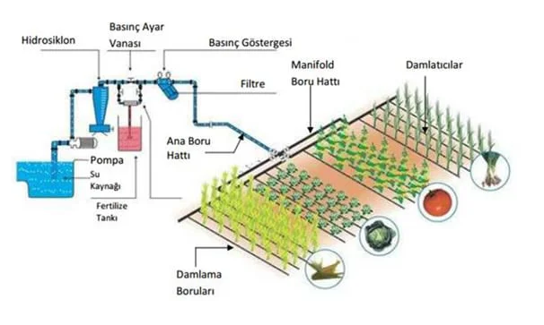 How to install a drip irrigation system