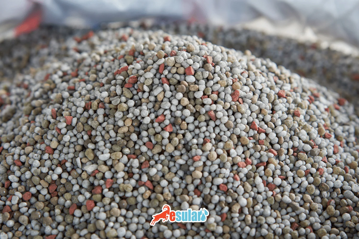 What is DAP Fertilizer? What Does It Do?