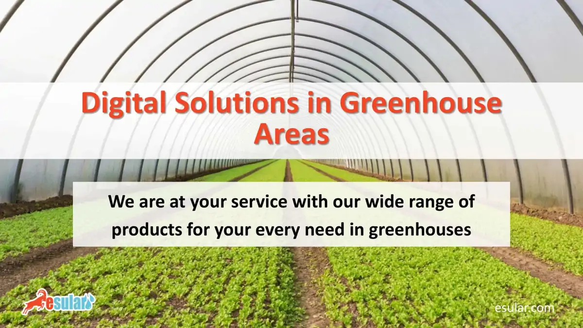 Digital Solutions in Greenhouse Areas
