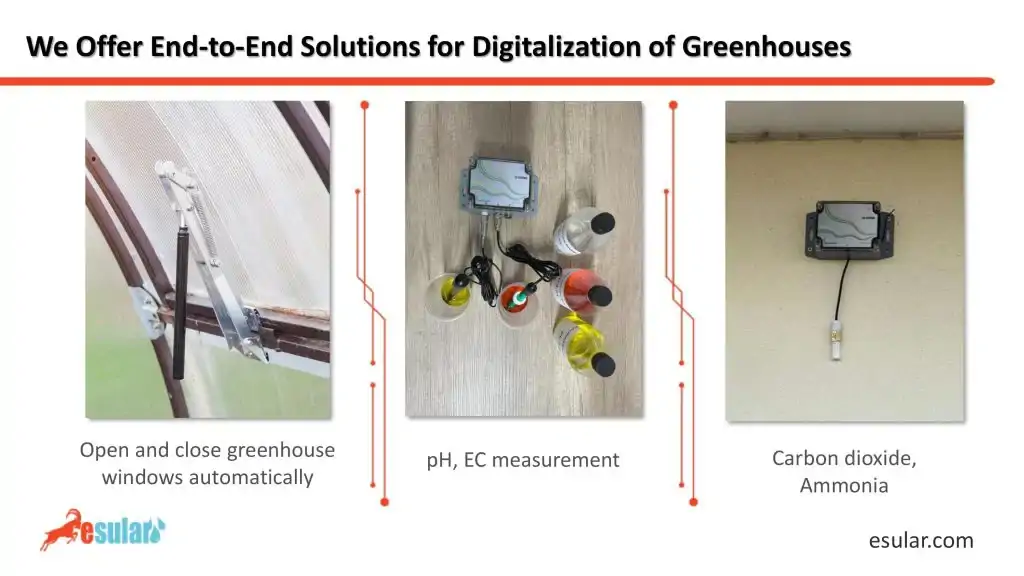 digitalization-greenhouses
