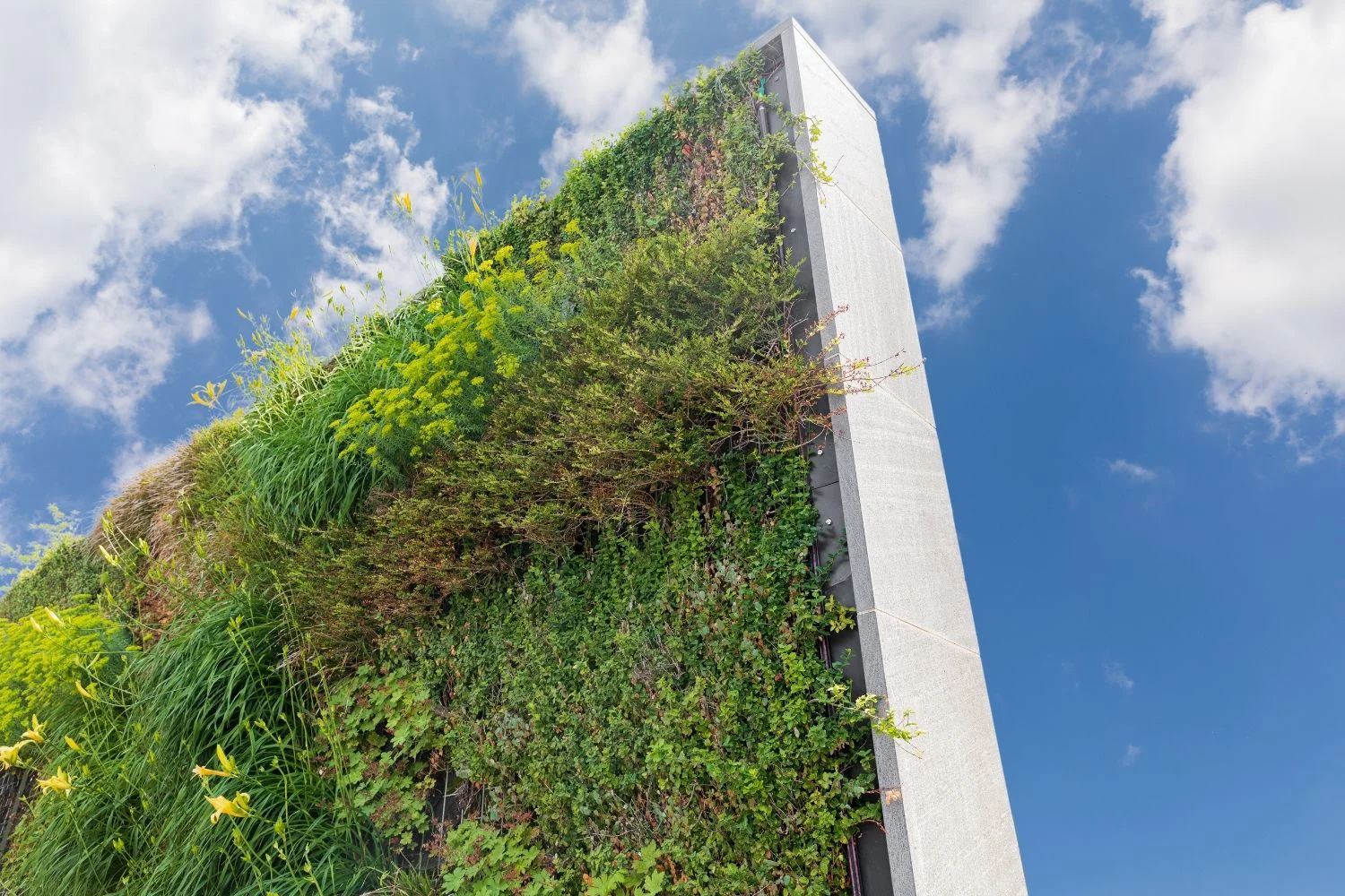 如何灌溉垂直花园？