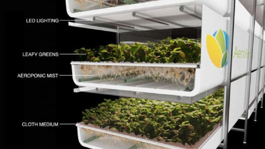 Vertical farming systems AeroFarms