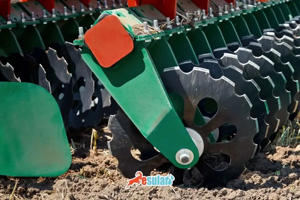 diskaro-cesitleri-nelerdir