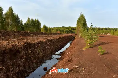 Drenaj Nedir