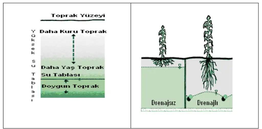 drenaj-taban-suyu-etkisi