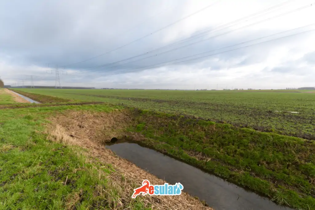 drenajin-faydalari-nelerdir