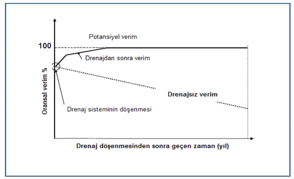 drenajin-verime-etkisi
