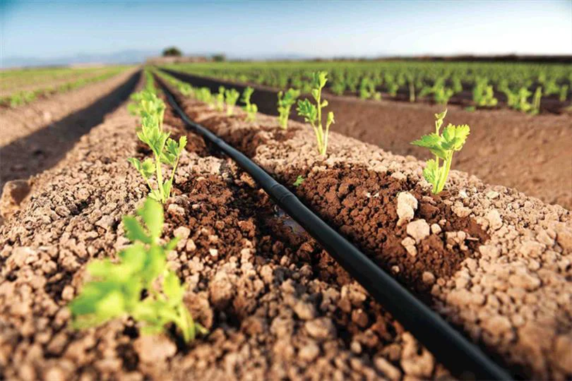 Which Irrigation System Is Better?
