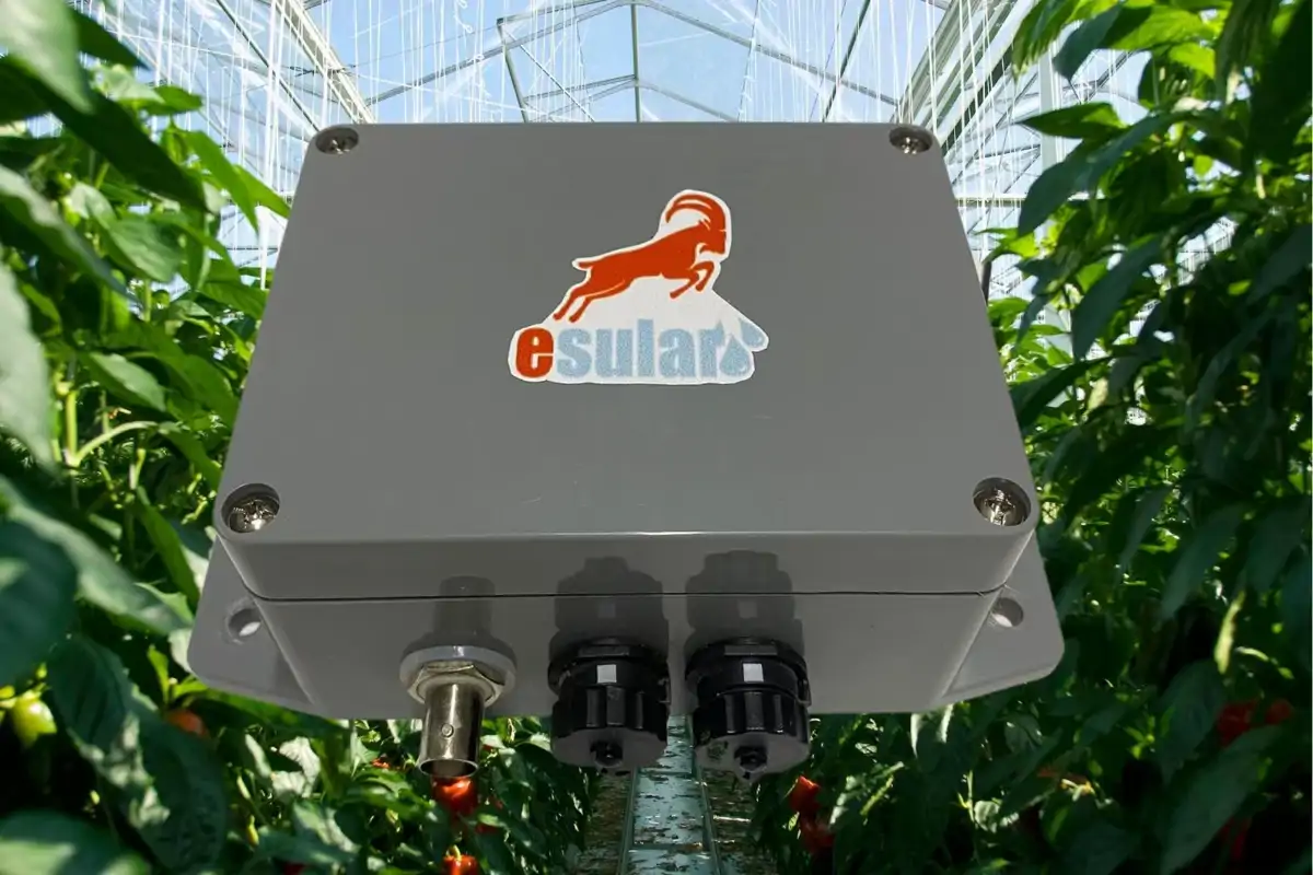 How to Use the EC-pH Sensor?