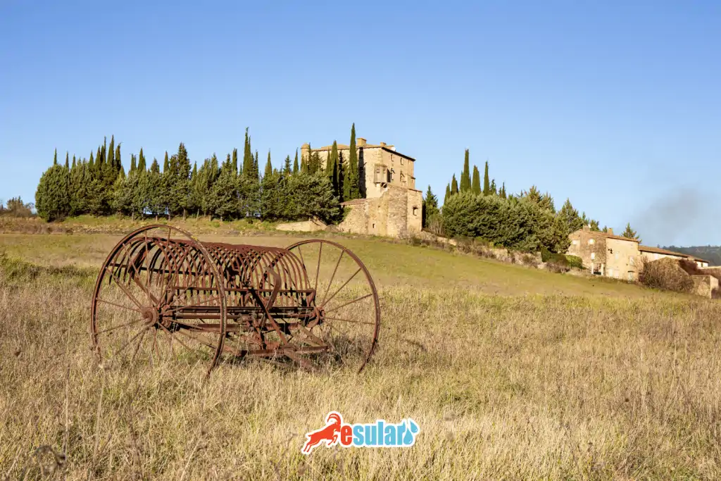 extensive-agriculture