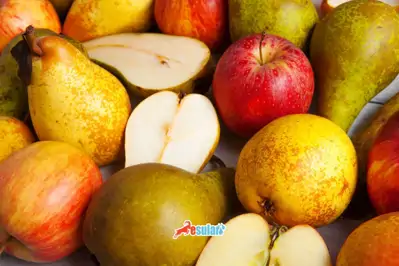 Elma, Armut ve Ayvada Entegre Mücadele: Elma İç Kurdu, Ateş Yanıklığı ve Karaleke Rehberi