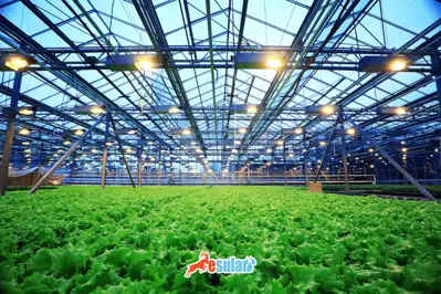 Endüstriyel Sera Otomasyonu: Akıllı Tarımda Verimlilik ve PLC Kontrol Rehberi