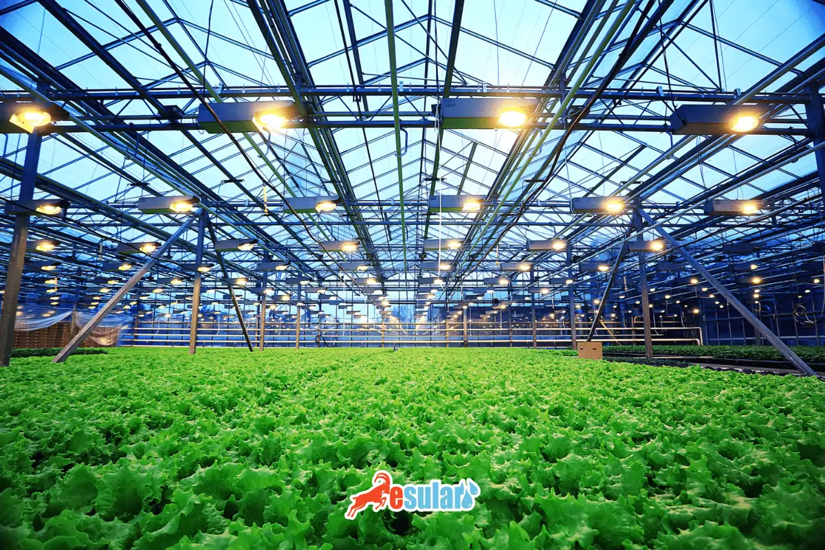 en-verimli-sera-sulama-sistemleri