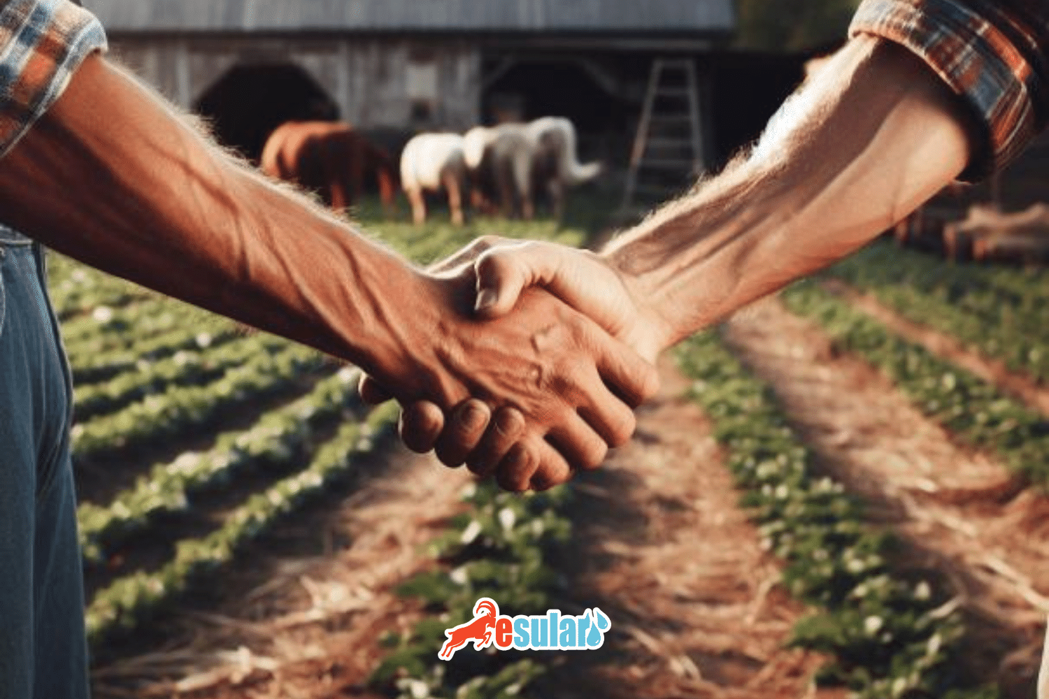 Programa de Distribuidores de Esular: ¡Deje su huella en el futuro con la agricultura inteligente y el riego!