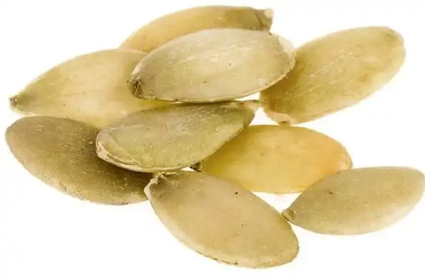 esular-adim-adim-balkabagi-yetistiriciligi-nasil-yapilir-3