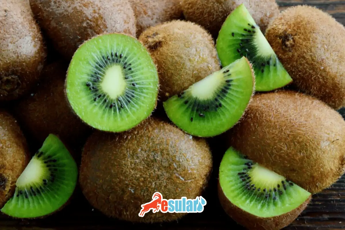 Kivi Yetiştiriciliği Nasıl Yapılır?