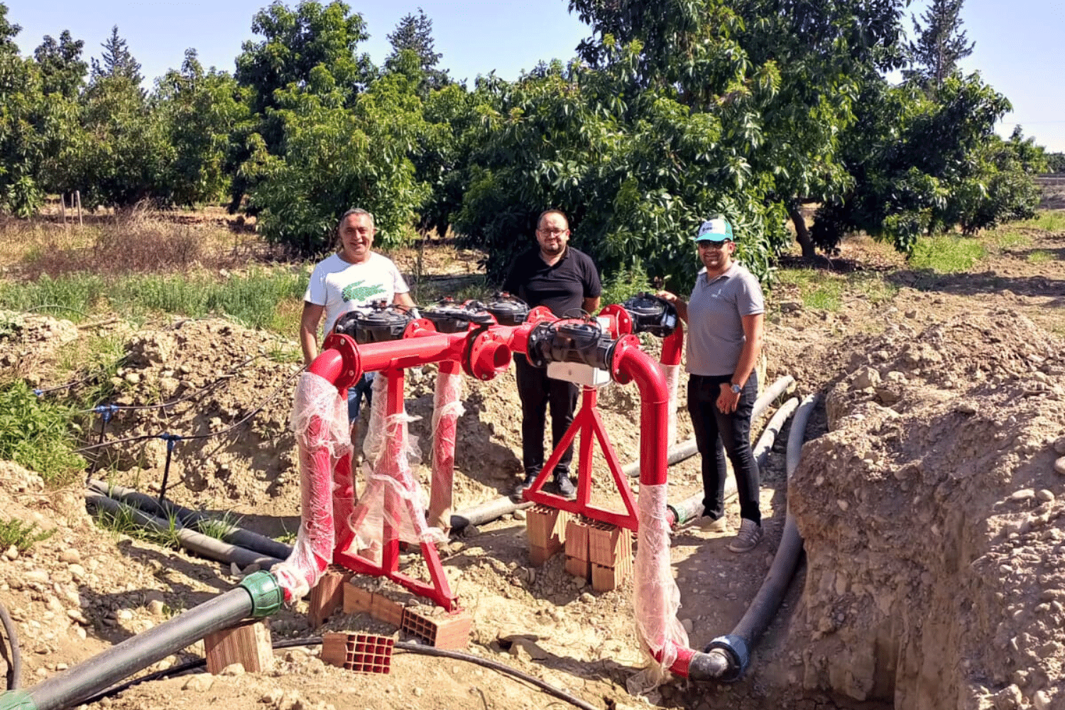 Capacitación y soporte técnico
