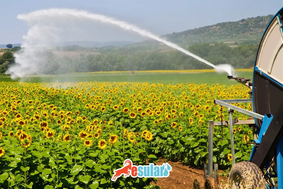 Sulama Tabancaları, Yağmurlama Tabancası