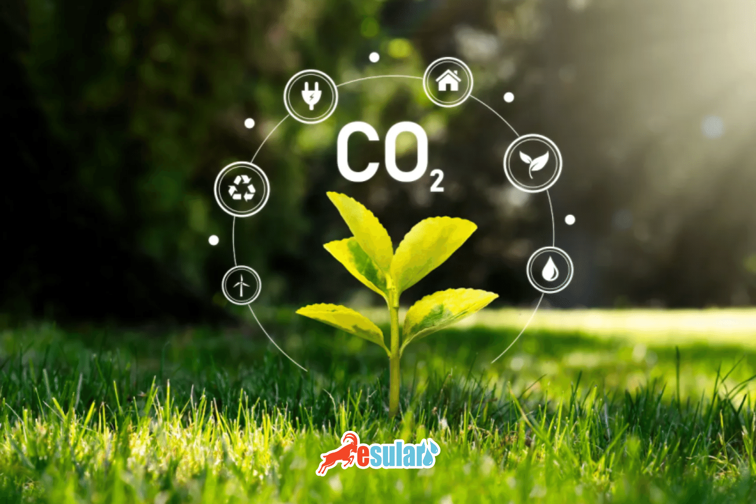 What is Carbon Dioxide Gas? What is Carbon Dioxide?